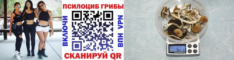 Галлюциногенные грибы GOLDEN TEACHER  мега как зайти  Себеж 